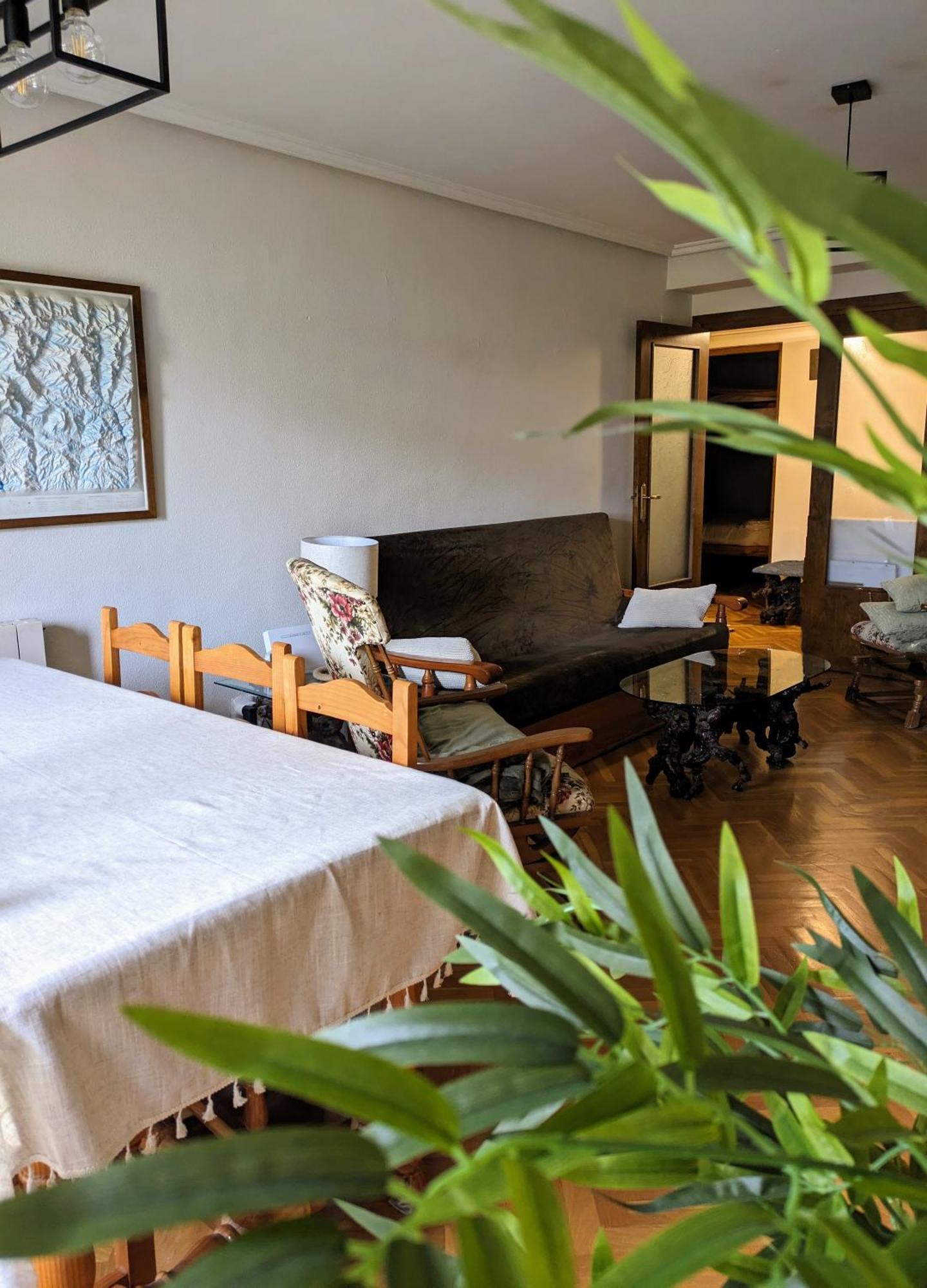 Piso Grande La Vina Daire Biescas  Dış mekan fotoğraf